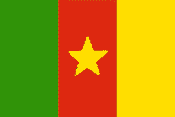 cameroon flag